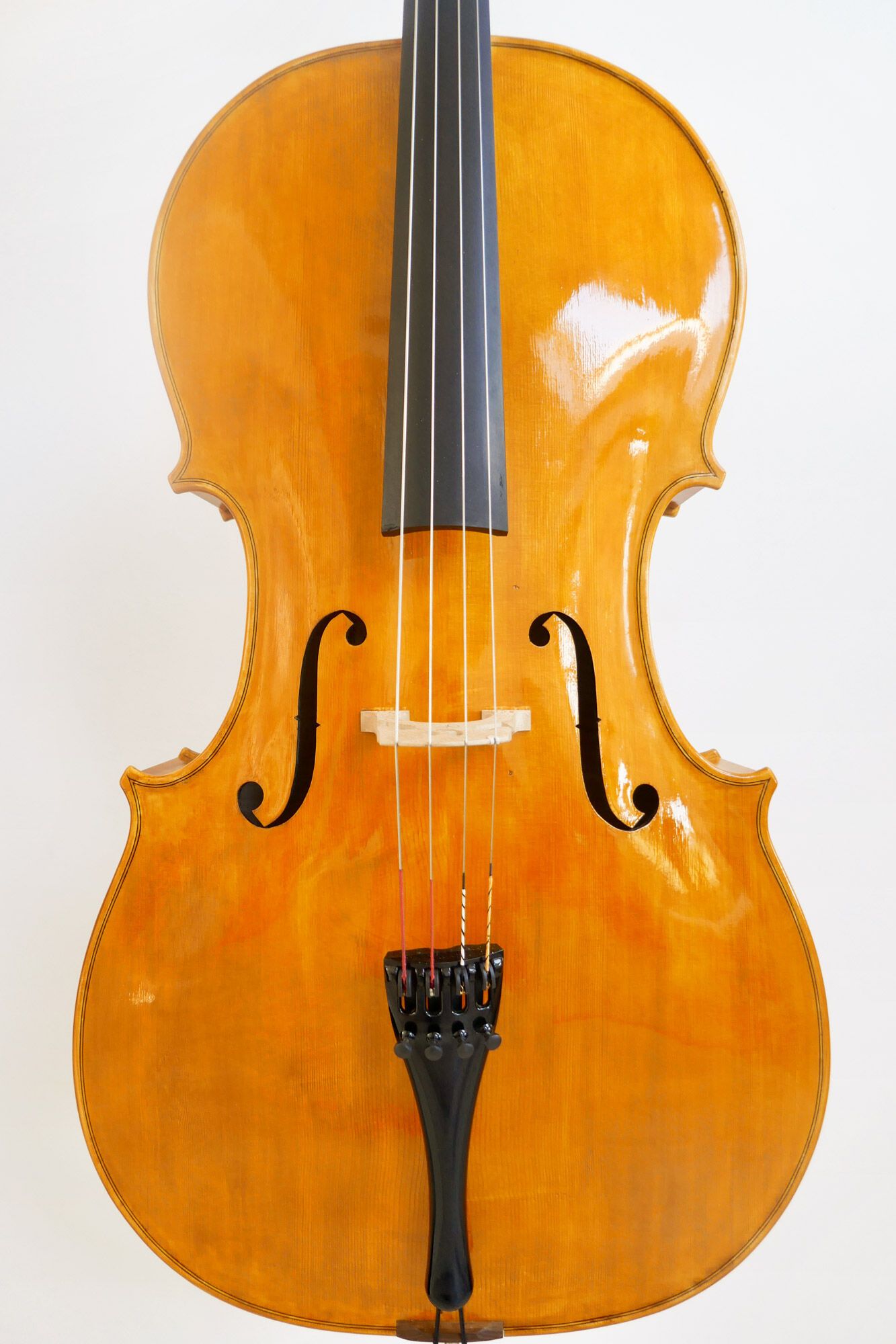 Veiling 'Cello for Charity'